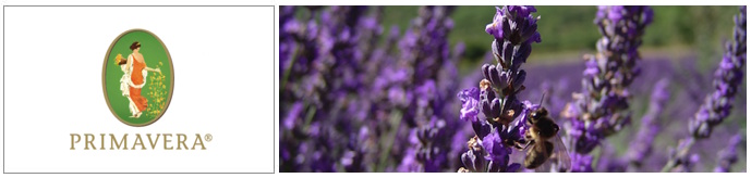 FAQ_Primavera